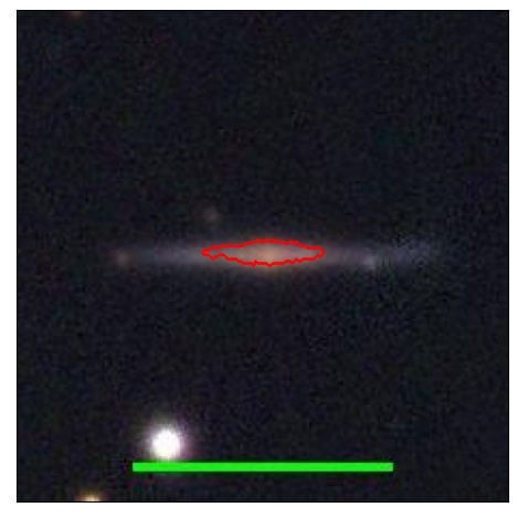 1264_031.0_contour_y