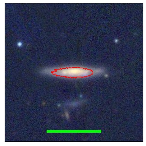 1264_042.0_contour_y