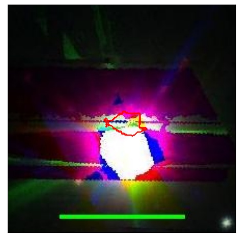 1264_068.1_contour_g