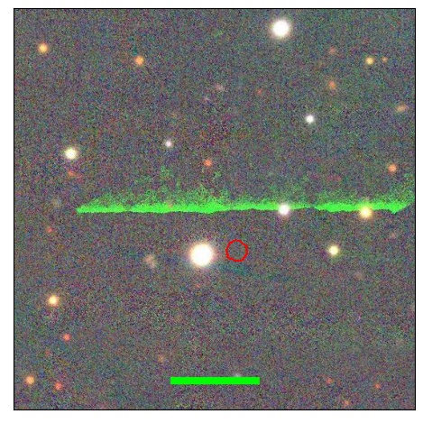 1265_006.0_contour_y