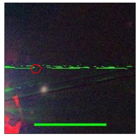 1279_041.0_contour_g