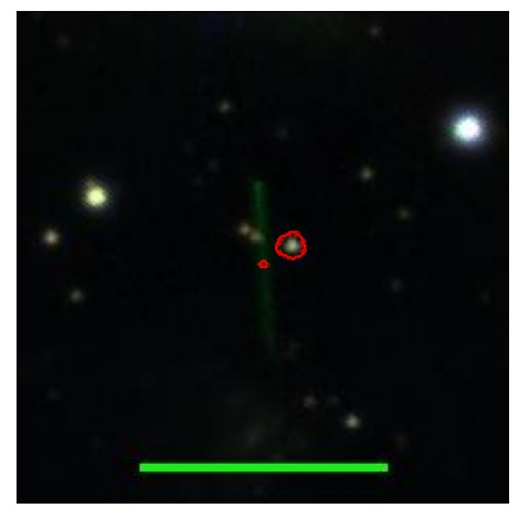 1299_049.0_contour_r