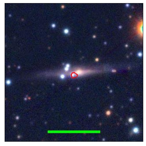 1299_083.0_contour_y