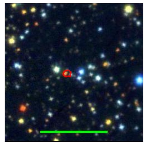 1303_007.0_contour_r