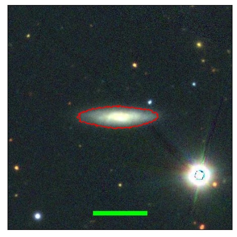 1313_010.0_contour_r