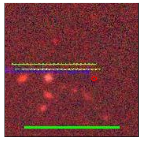 1314_091.0_contour_y