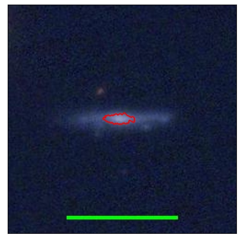 1335_039.0_contour_y