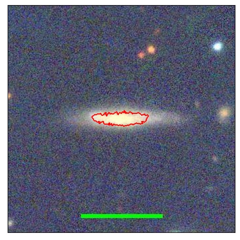 1338_051.0_contour_y