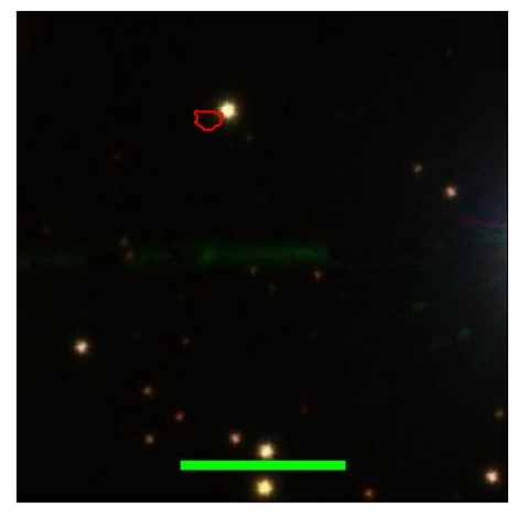 1350_089.0_contour_y