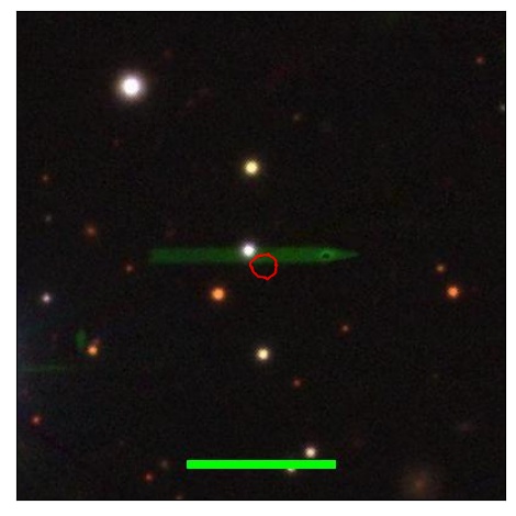 1351_041.0_contour_g