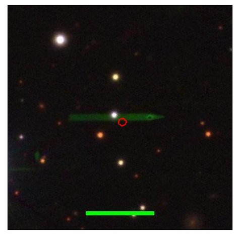 1351_041.0_contour_y