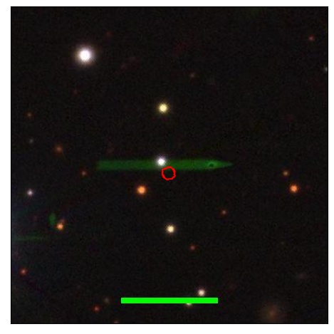 1351_041.0_contour_z