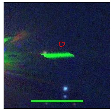 1352_075.0_contour_i