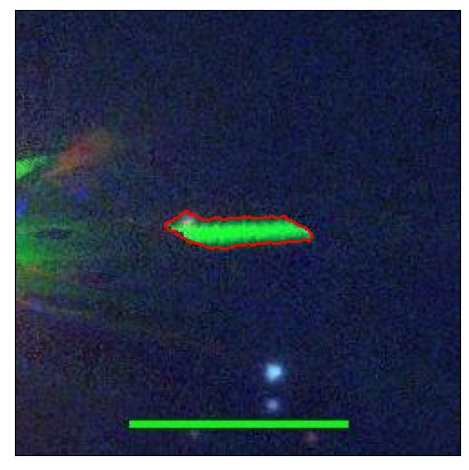 1352_075.0_contour_r