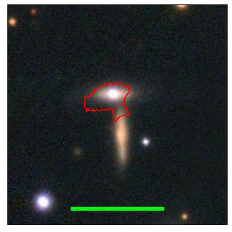 1353_019.0_contour_r