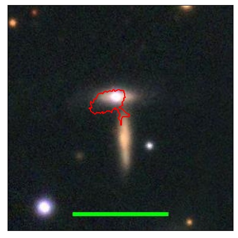 1353_019.0_contour_y