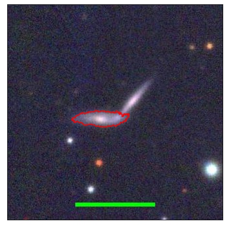 1353_096.1_contour_r