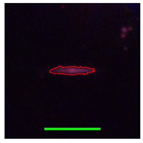 1358_085.0_contour_g