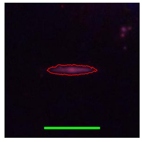 1358_085.0_contour_i