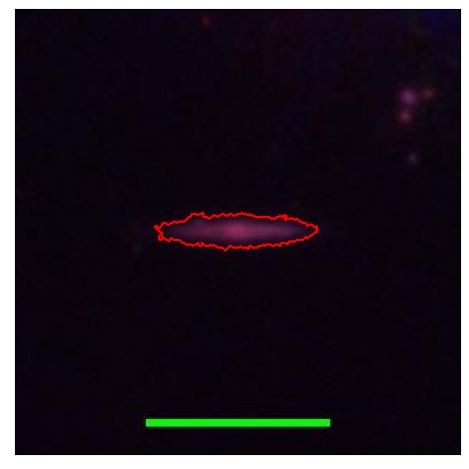 1358_085.0_contour_r