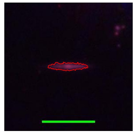 1358_085.0_contour_z