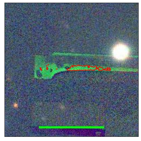 1366_007.1_contour_r