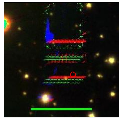 1390_066.1_contour_y