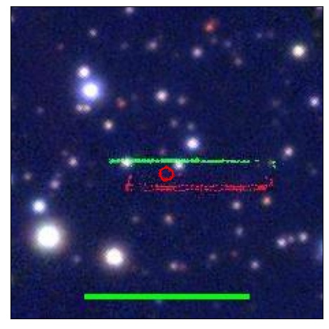 1391_007.0_contour_y