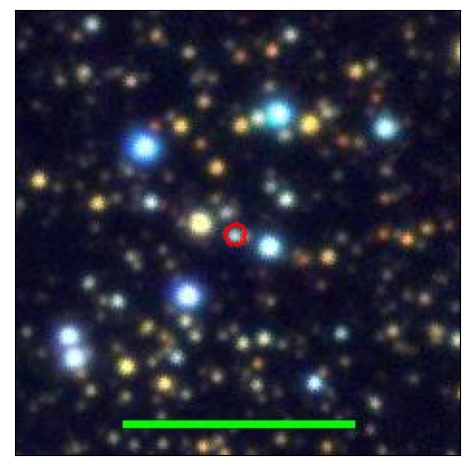 1393_004.0_contour_r