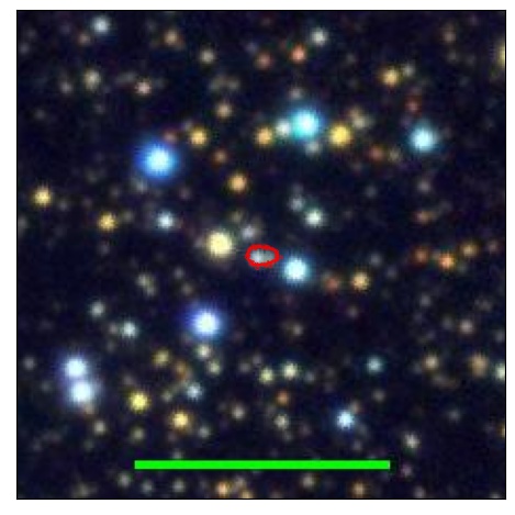 1393_004.0_contour_y