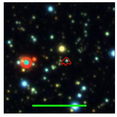 1393_005.1_contour_r