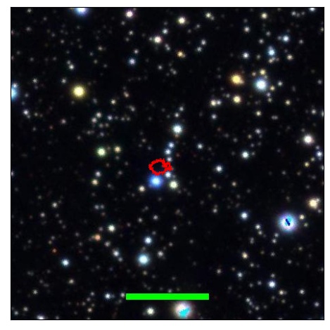 1394_005.0_contour_g