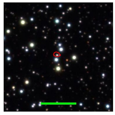 1394_010.1_contour_r