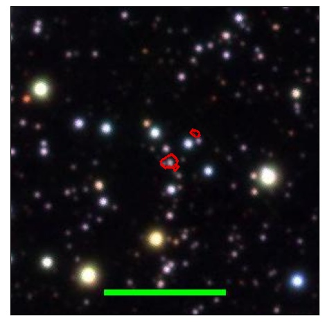 1394_031.1_contour_g