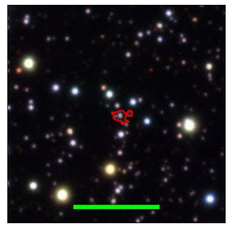 1394_031.1_contour_r