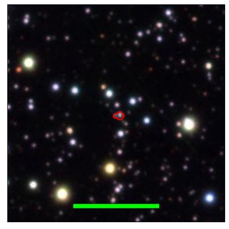 1394_031.1_contour_y