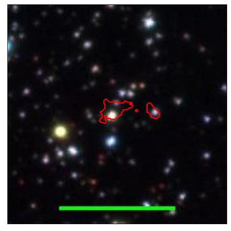 1394_051.0_contour_y