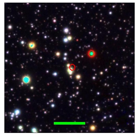 1394_051.1_contour_z