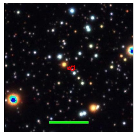 1395_019.0_contour_g