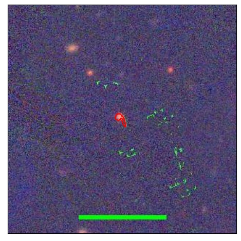 1414_008.1_contour_r