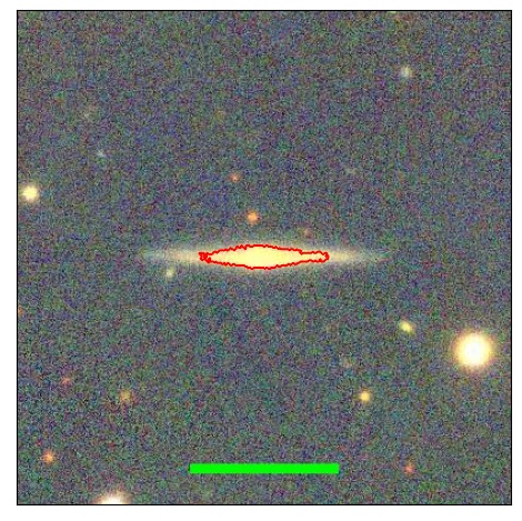 1428_051.0_contour_y