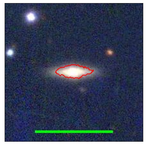 1431_050.1_contour_y