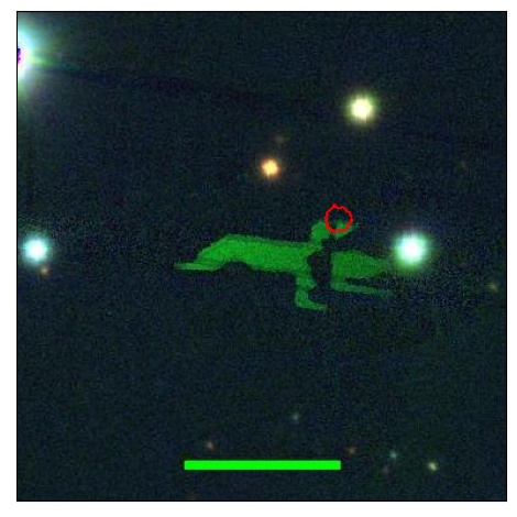 1431_053.0_contour_y