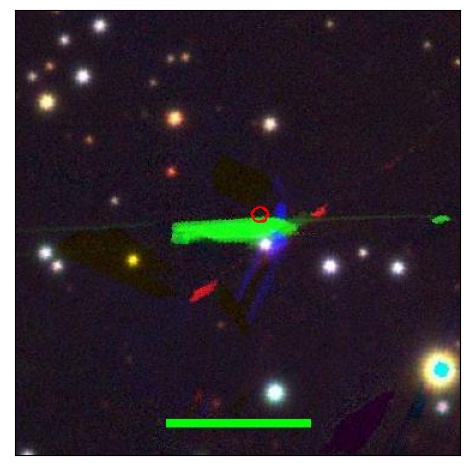 1438_038.0_contour_y