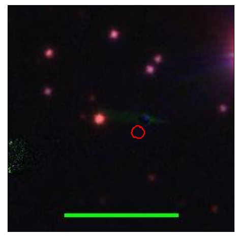 1439_067.1_contour_g