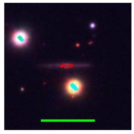 1443_009.0_contour_y