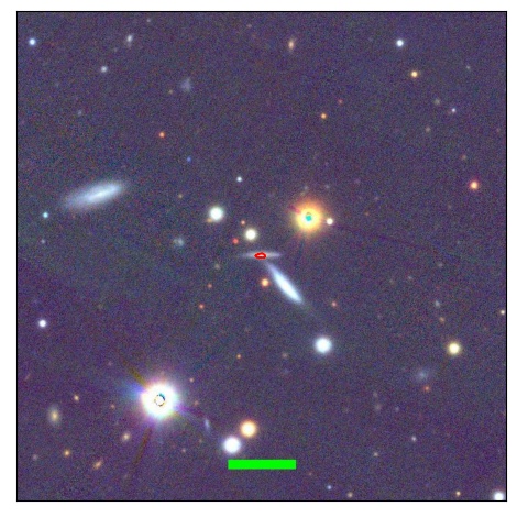 1446_062.1_contour_y