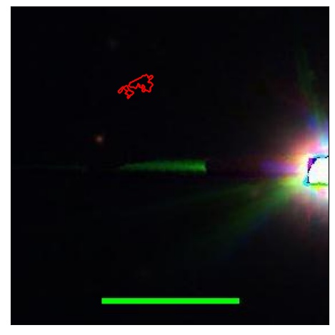 1449_094.0_contour_g