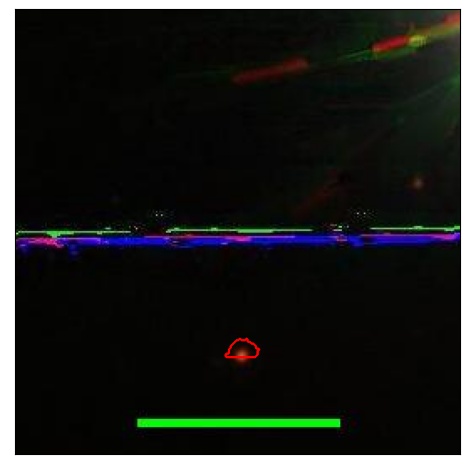 1457_037.0_contour_z