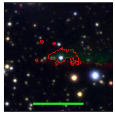 1481_031.0_contour_r